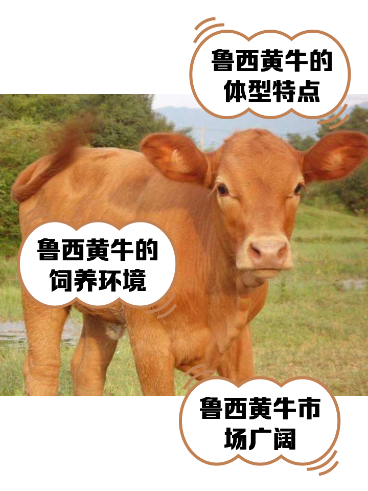 台州最新医保取现黄牛方法分析(最方便真实的台州医保取现黄牛怎么取方法)